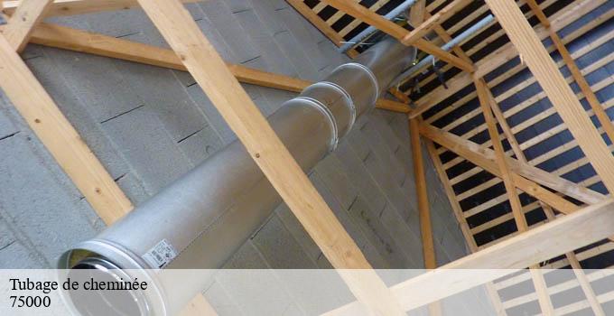 Tubage de cheminée paris-75000 Léon Ramoneur