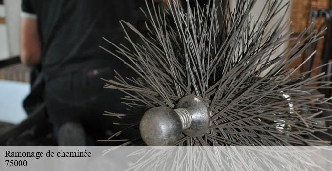 Ramonage de cheminée paris-75000 Léon Ramoneur