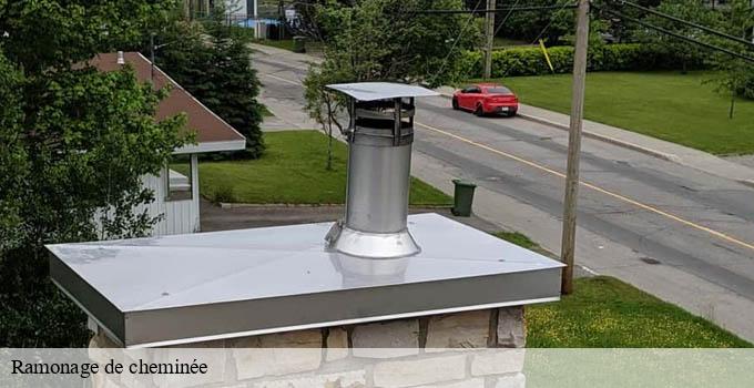 Ramonage de cheminée paris-2-75002 Léon Ramoneur