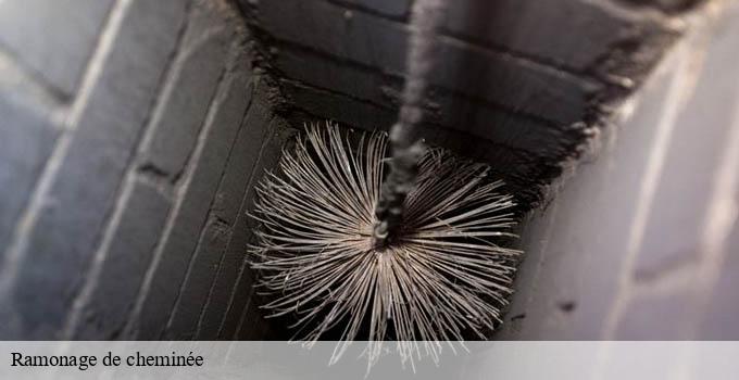 Ramonage de cheminée paris-7-75007 Léon Ramoneur