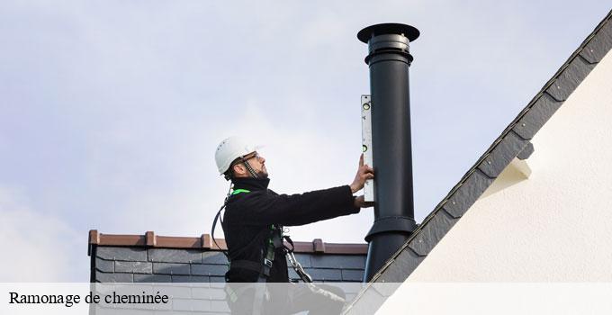 Ramonage de cheminée  paris-11-75011 Witosz Alexandre