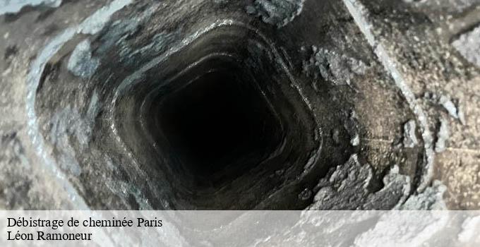 Débistrage de cheminée paris-75000 Léon Ramoneur