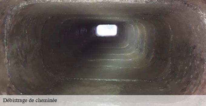 Débistrage de cheminée paris-12-75012 Léon Ramoneur