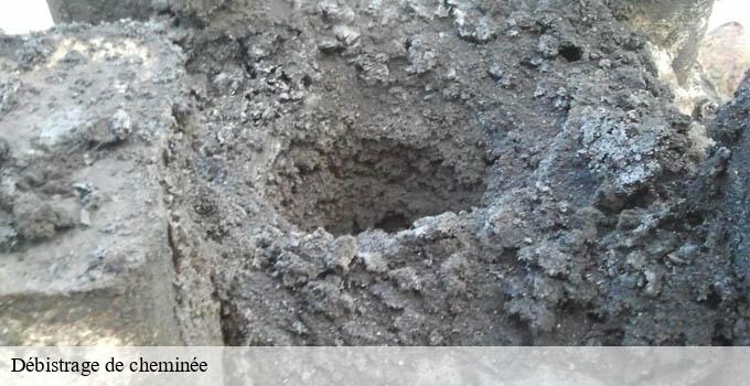 Débistrage de cheminée paris-12-75012 Léon Ramoneur